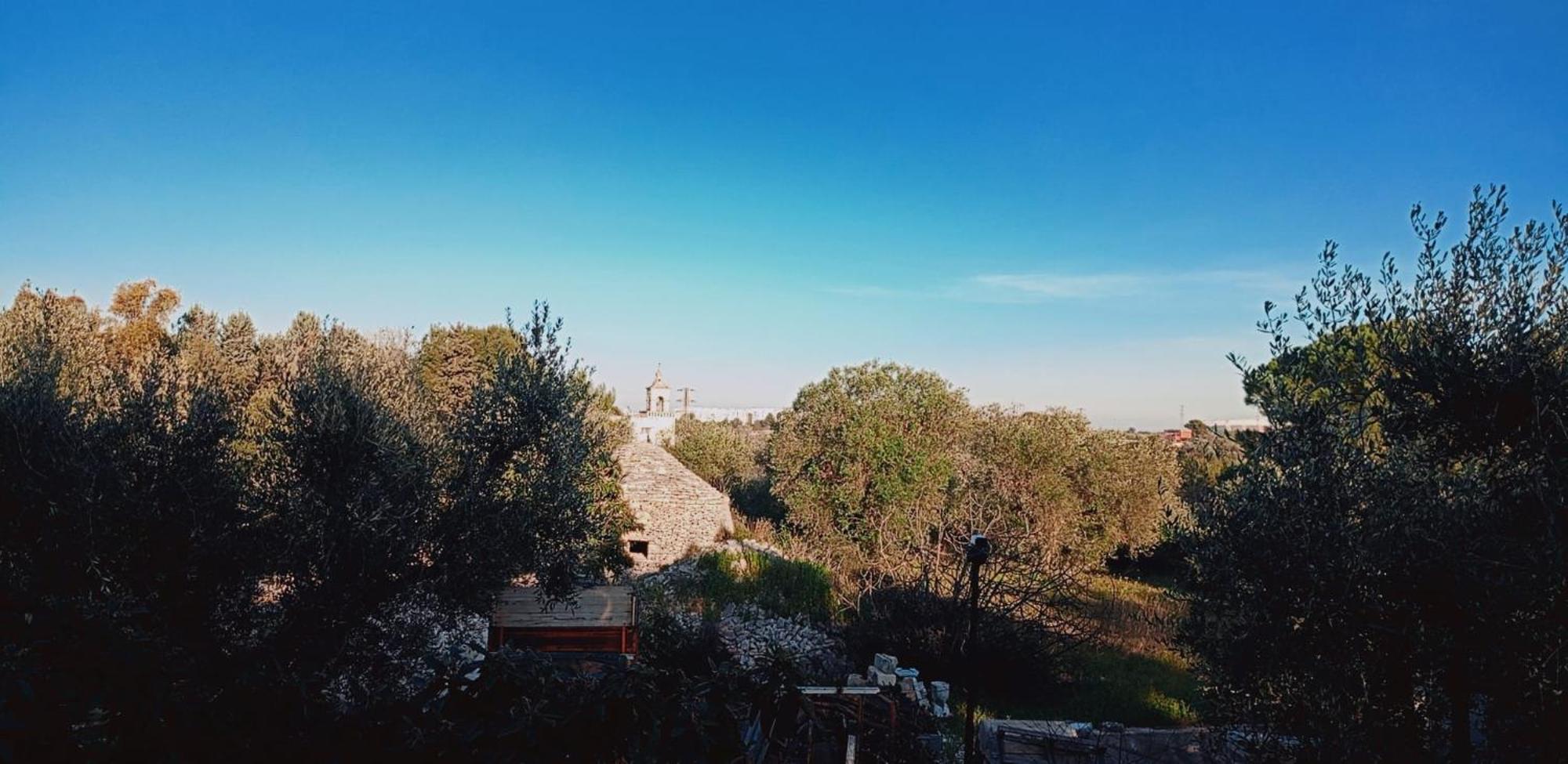 B&B Verdeoliva โมดูโญ ภายนอก รูปภาพ